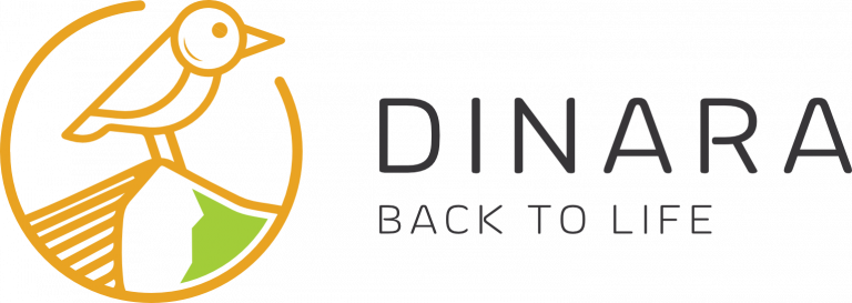 logo dinara back to life